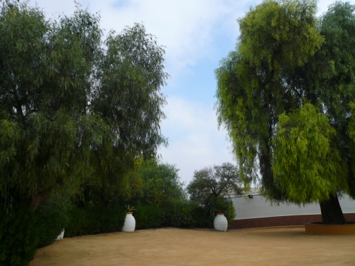 Entrada