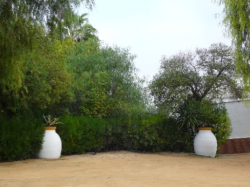 Entrada